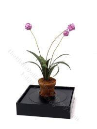 (image for) Vintage Miniature Pot of Armeria Flowers for Dollhouses
