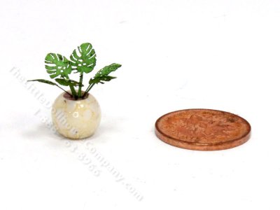 (image for) Handmade Miniature 1/4 Scale Philodendron in Cream Vase