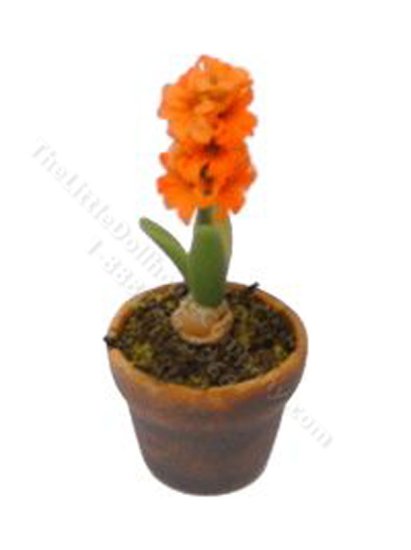 (image for) Miniature Hyacinth in Pot for Dollhouses - Apricot