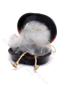 (image for) Miniature Skeleton Box for Dollhouses