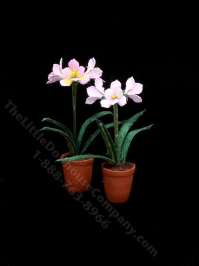 (image for) Handmade Miniature 1:48 Scale Flowers by Paula Gilhooley