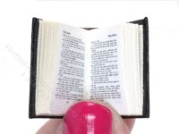 (image for) Miniature Book: 'King James Bible'