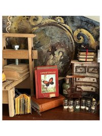 (image for) Miniature Curiosities Series - BUTTERFLIES Secret Book
