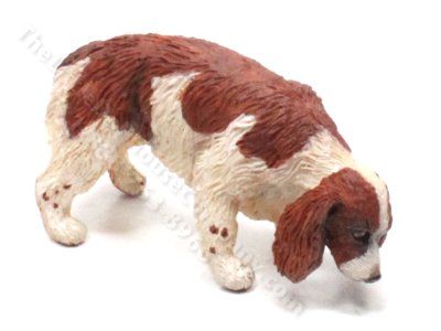 (image for) Miniature Red and White Spaniel Dog