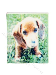 (image for) Miniature Puppy Notebook for Dollhouses