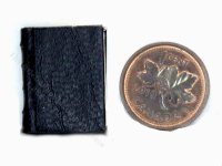 (image for) Miniature Book: 'Bedford Book of Hours'