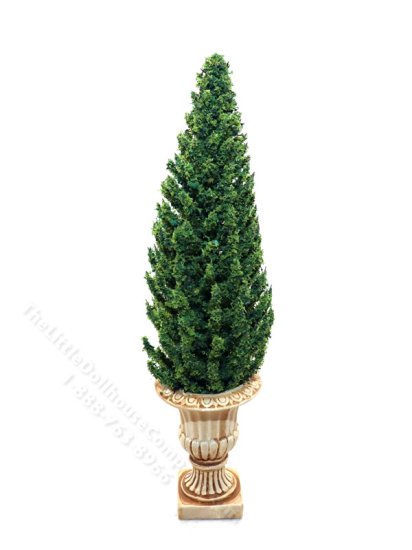 (image for) Miniature 5-1/2" Pine Topiary in Black Planter for Dollhouses