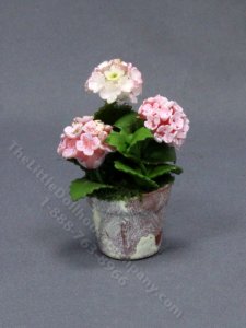 (image for) Miniature Pink Hydrangeas in a Weathered Pot