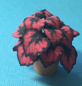 (image for) Miniature Coleus House Plant Kit For Dollhouses