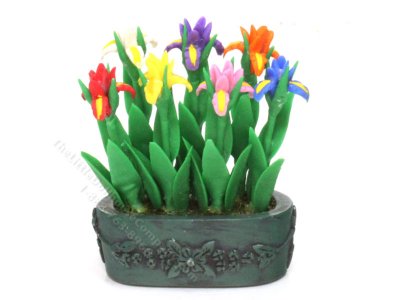 (image for) Miniature Oblong Pot of Colorful Lilies