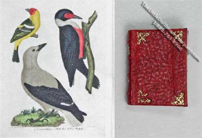 (image for) Miniature Book: 'American Ornithology', Alexander Wilson 1829