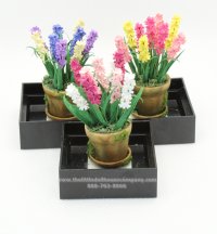 (image for) Miniature Hyacinth Arrangements