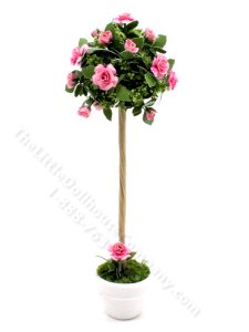 (image for) Miniature Rose Tree in Vase