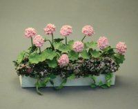 (image for) Window Box with Pink Geraniums, by Judy