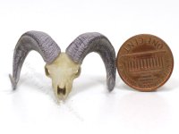 (image for) Miniature Ram's Skull by Jane Woodham of Truly Scrumptious