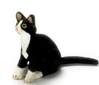 (image for) Miniature Socks Sitting Kitten for Dollhouses