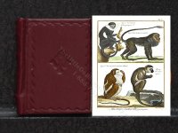 (image for) Miniature Book: 'Tableau Encyclopedique...de la Nature'
