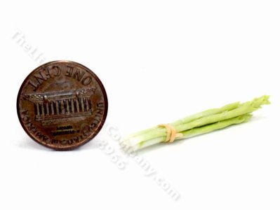 (image for) Miniature Bunch of Asperagus by Charlotte Willmott