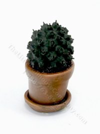 (image for) Dollhouse Miniature Cactus