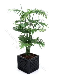 (image for) Miniature Potted Parlour Palm by Mini Creations by Judy