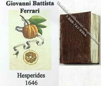 (image for) Miniature Book: 'Hesperides'