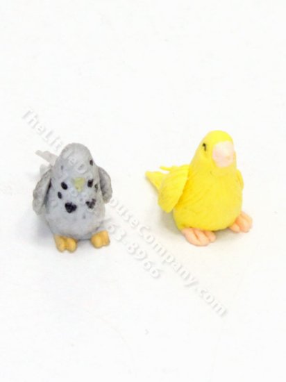 (image for) Dollhouse Miniature Parakeet 1(pc)