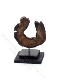 (image for) Miniature Wood Cross Section Sculpture by PRD Miniatures