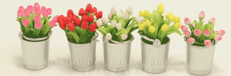 (image for) Miniature Tulips in Silver Bucket
