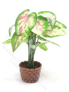 (image for) Miniature Caladium Plant For Dollhouses