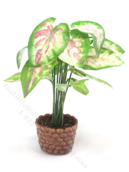 (image for) Miniature Caladium Plant For Dollhouses
