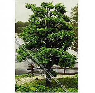 (image for) 4 Inch Forest Green Trees for Dollhouses (4/pk)