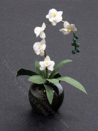 (image for) Dollhouse Miniature White Orchids in a Pot
