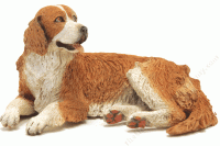 (image for) Miniature Miniature Australian Shepherd by Leslie Frick