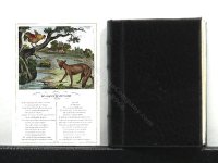 (image for) Miniature Book: 'Fables de la Fontaine'
