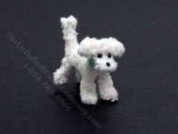 (image for) Miniature White Poodle By Trace Goldfarb