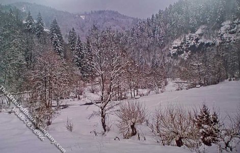 (image for) Winter Walk Scene Miniature Mural for Dollhouses