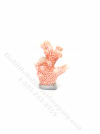 (image for) Miniature Pink Coral for Dollhouses
