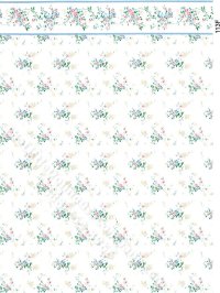 (image for) White Floral Wallpaper with Border