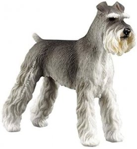 (image for) Miniature Salt and Pepper King Schnauzer
