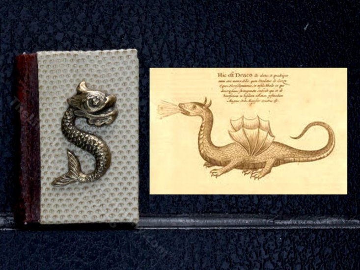 (image for) Miniature Book: 'Dragons: A Natural History' Deluxe