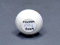 (image for) Miniature Bowl of Red Apples by Marie Luce Pelletier