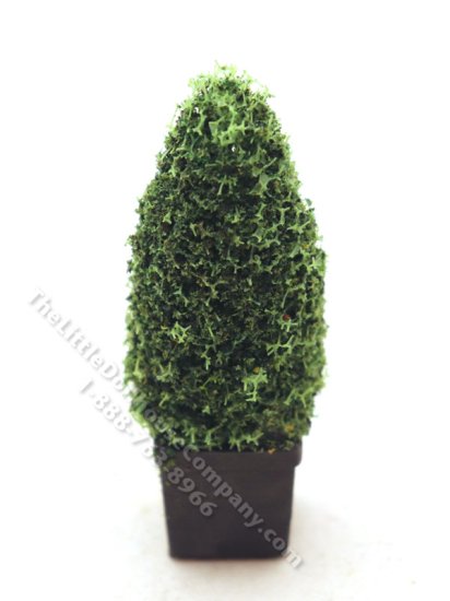 (image for) Miniature 2.5" Spruce Topiary in Square Base for Dollhouses
