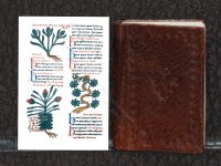 (image for) Miniature Book: '12th Century Herbal'