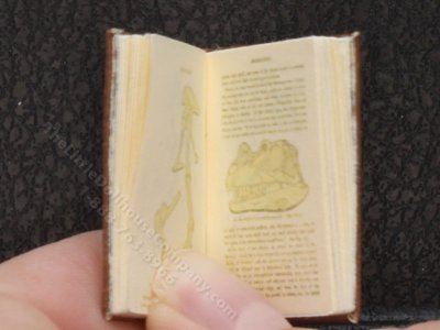 (image for) Miniature Book: 'Extinct Monsters'