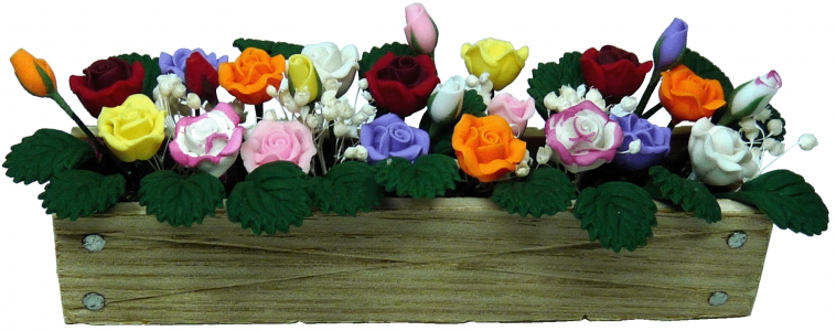 (image for) Miniature mixed Colour Roses in Wooden Window Box