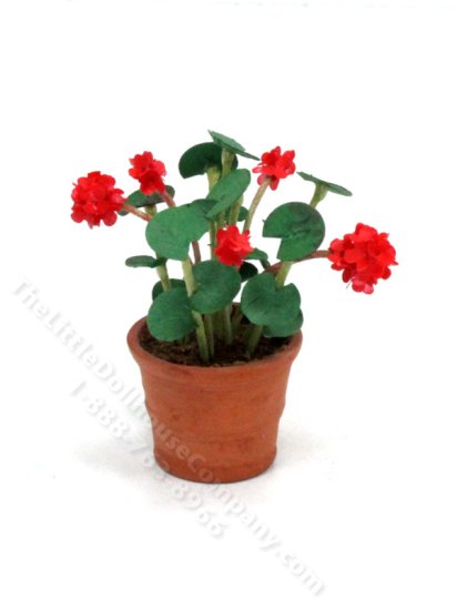 (image for) Miniature Potted Geraniums for Dollhouses