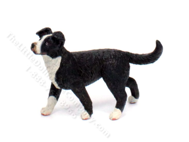(image for) Dollhouse Scale Border Collie Dog