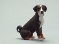 (image for) Miniature Sitting Appenzeller Handmade by Karl Blindheim