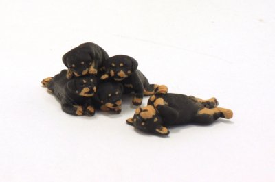 (image for) Miniature Rottweiler 5 Puppy Litter by Karl Blindheim