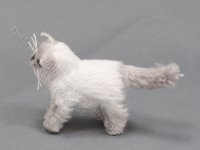 (image for) Miniature Long Haired Cat by Marie W. Evans - Himalayan